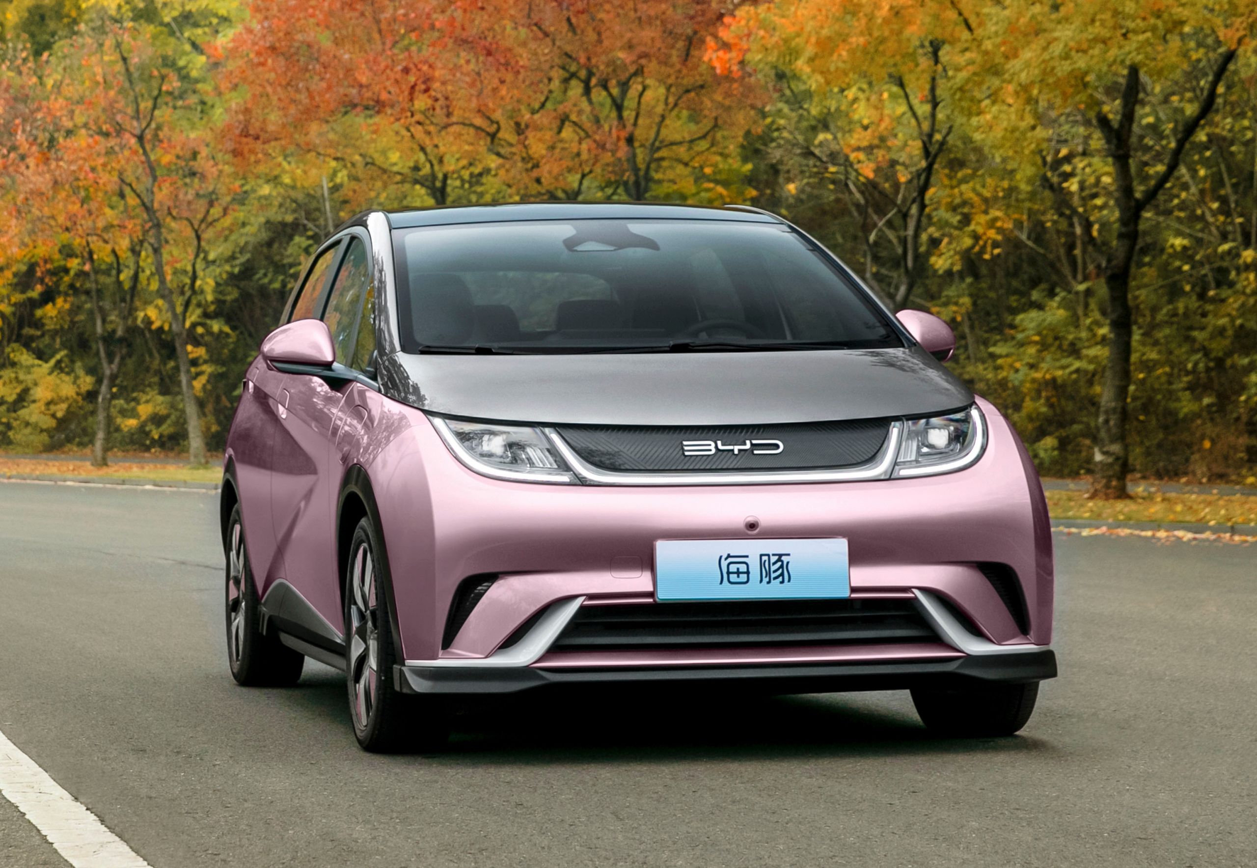 BYD Dolphin характеристики: чесний погляд на популярний електромобіль