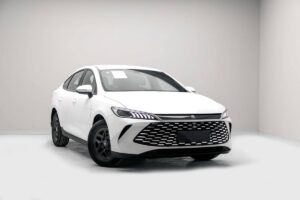 BYD Qin Plus vs Tesla Model Y: comparison without gloss