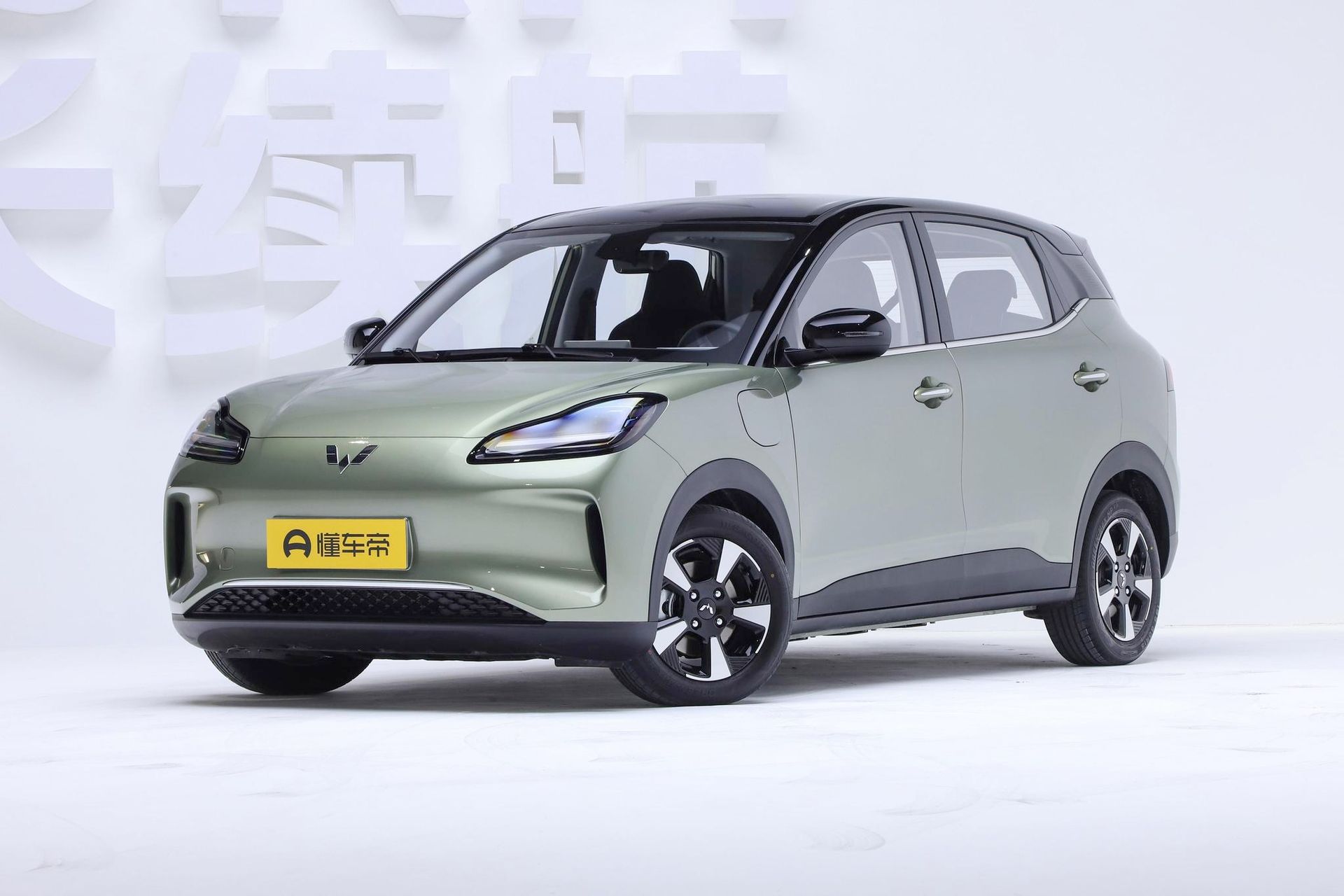 Wuling Bingo Plus vs Tesla Model 3: що варто знати перед вибором