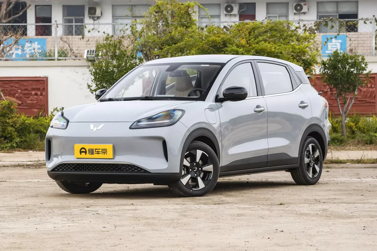 Wuling Bingo Plus vs Tesla Model Y: що краще підійде саме вам