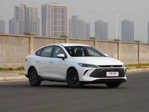 BYD Qin Plus vs Tesla Model 3: how to choose an electric sedan without illusions