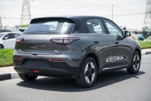 Geometry Xingyuan vs Tesla Model Y: which is better for daily commuting