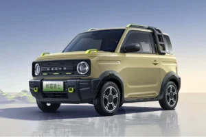 Panda Mini EV specifications: what is really important to know