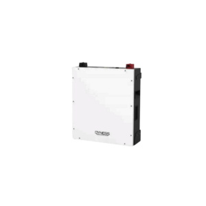 Акумулятор Dyness 5,12 кВт·год